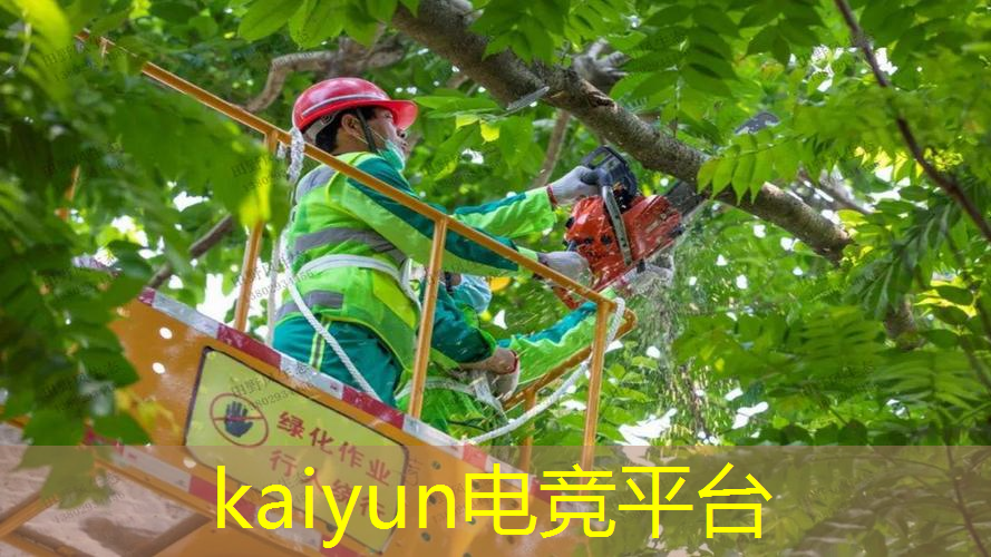 kaiyun电竞官方网站入口：罗布乐思算不算3d游戏