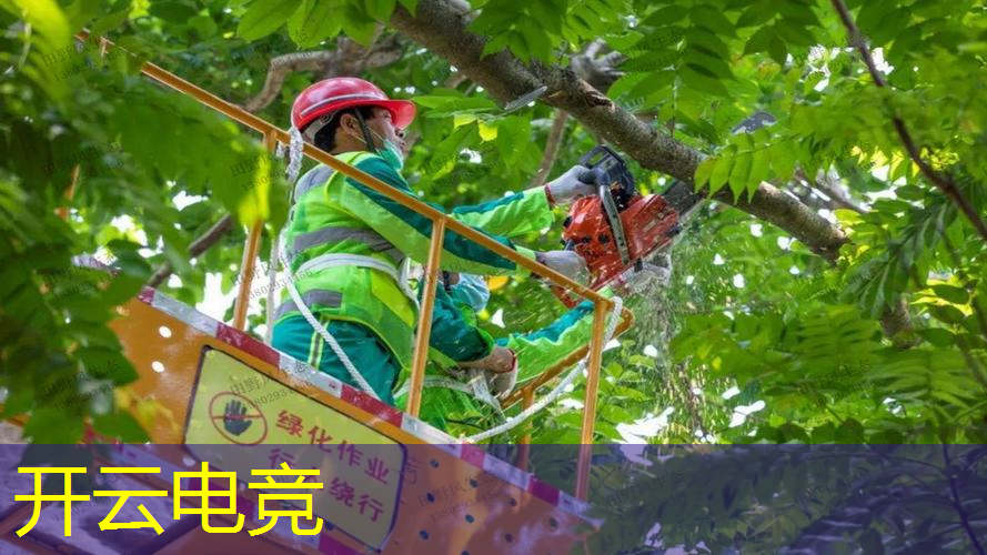开云电竞：夹娃娃是不是有程序的游戏
