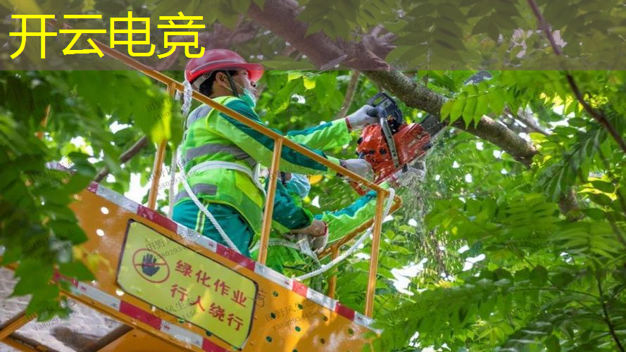 从事游戏策划需要哪些能力