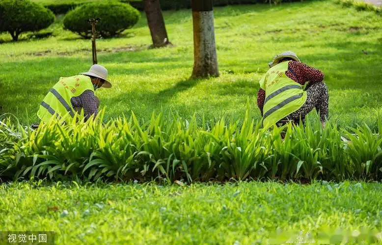 3d抽木头游戏