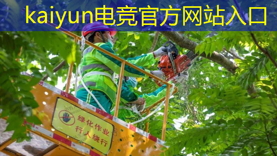 kaiyun·电竞：抖音小游戏小程序入口总裁