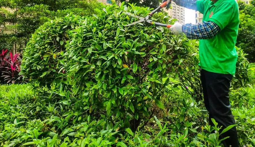 kaiyun电竞平台：游戏到底需不需要原画师