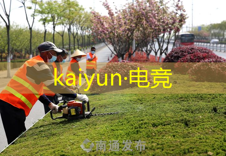 开云电竞：多人3d装扮游戏手机版