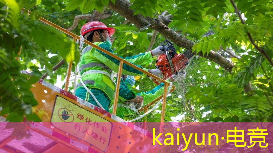 kaiyun·电竞：王者原画对比别的游戏