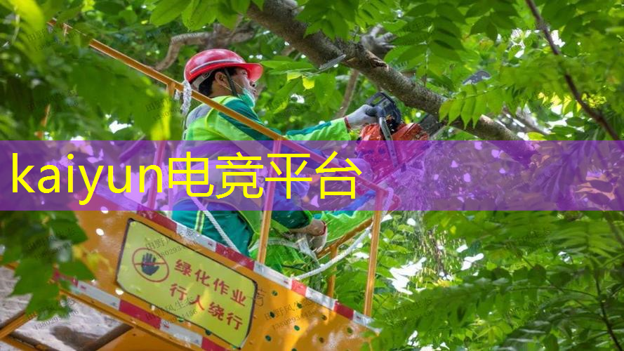 kaiyun电竞官方网站入口：宝宝益智游戏 小程序大全