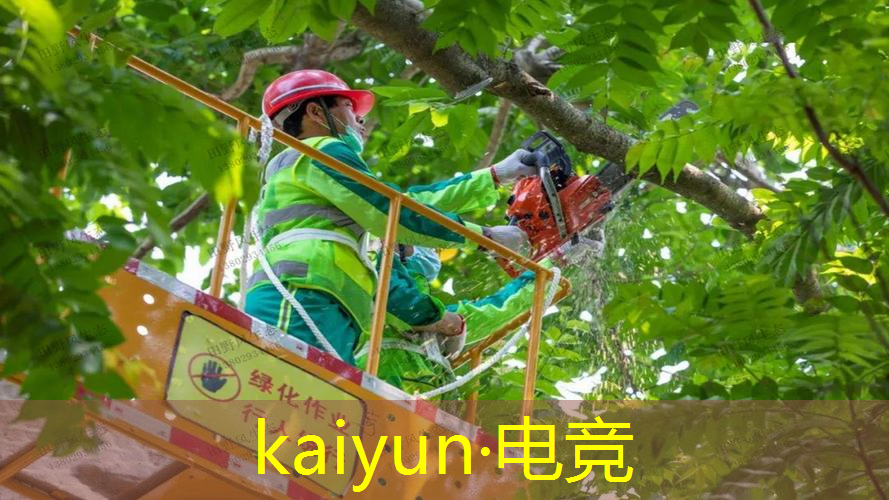 kaiyun电竞平台：游戏场景概念设计原画