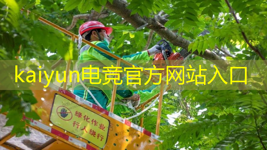 kaiyun电竞官方网站入口：真正的3d传奇推荐游戏