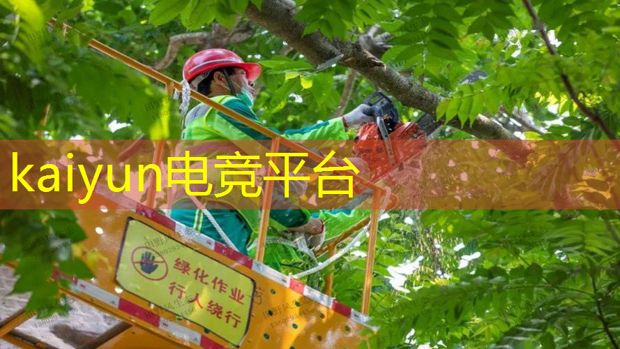 开云电竞：横屏3d裸眼找不同游戏