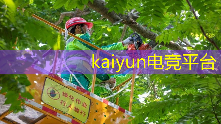 kaiyun电竞官方网站入口：青年电竞大赛：选手福利有哪些？