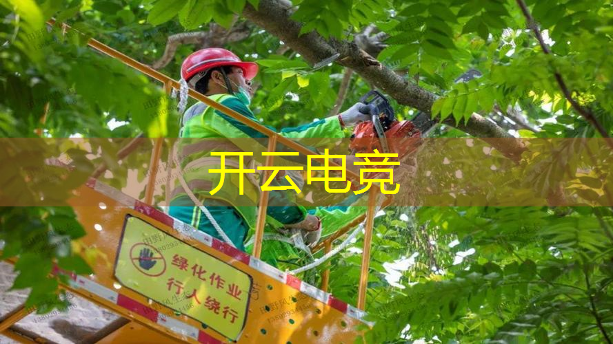 开云电竞：空中飞车3d游戏