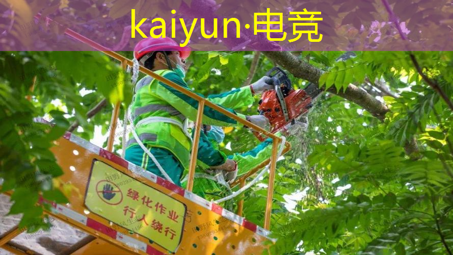 kaiyun·电竞：浪哥解说游戏植物大战僵尸3d版