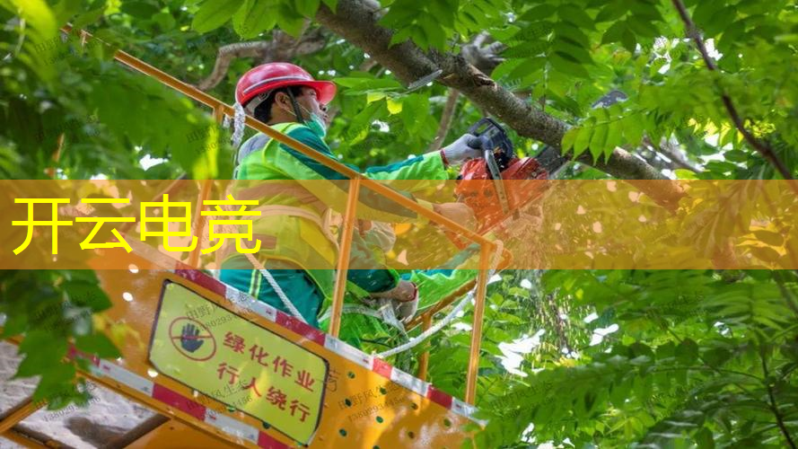 kaiyun电竞官方网站入口：最真实台球3d游戏手机版