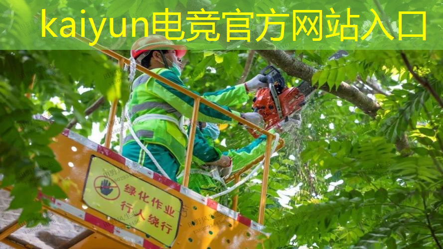 开云电竞：如何入选职业电竞选手的条件