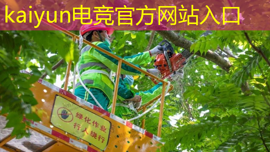 kaiyun·电竞：集团公司青年电竞大赛：有何看点和参赛须知？