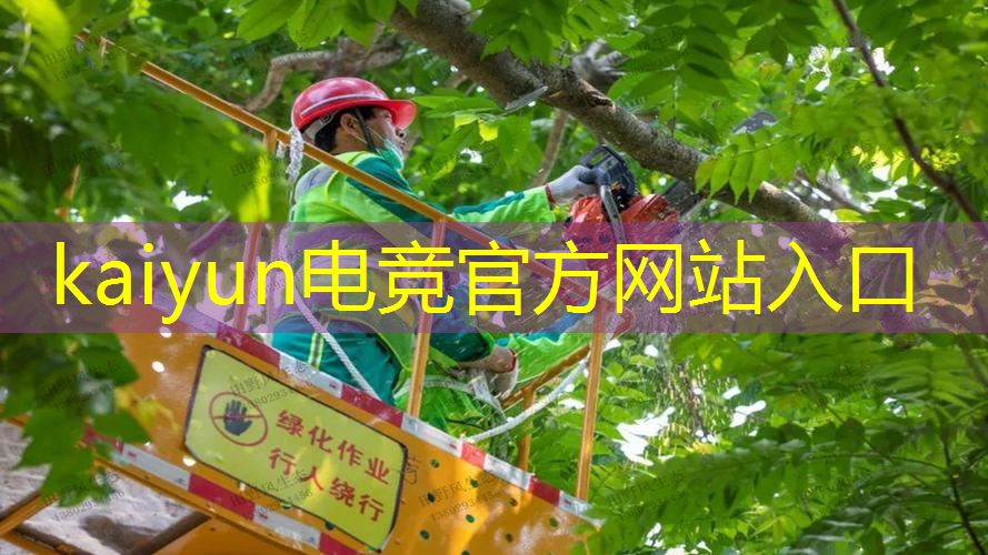 kaiyun·电竞：6k玩游戏手机小程序