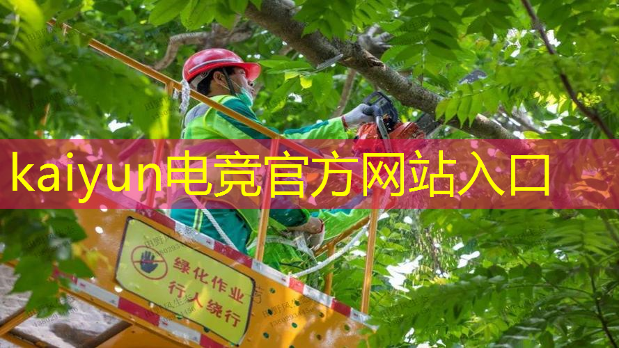 kaiyun电竞平台：已经停服的3d网络游戏