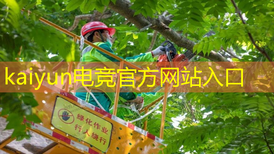 原画头像游戏角色名字怎么改