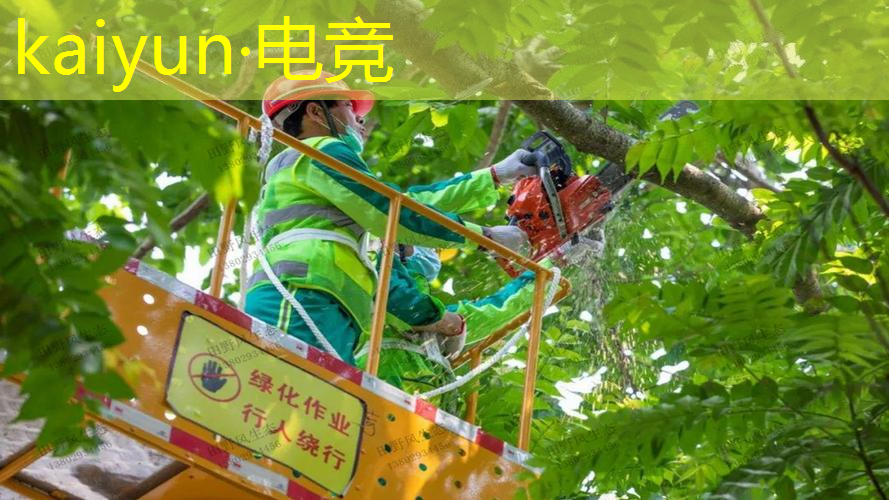 开云电竞：模拟3d游戏的真人