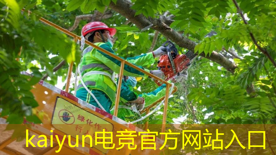 罗布乐思算不算3d游戏