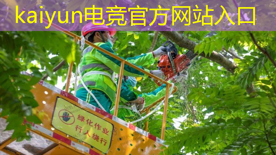 夹娃娃是不是有程序的游戏