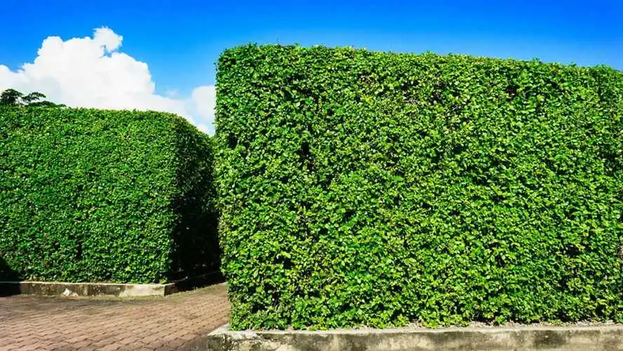 当00后接管3d游戏建模后