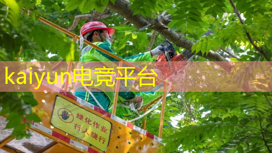 给美女换装的小程序游戏