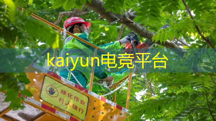 抖音小游戏小程序入口总裁