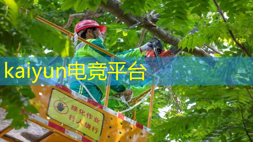 王者原画对比别的游戏