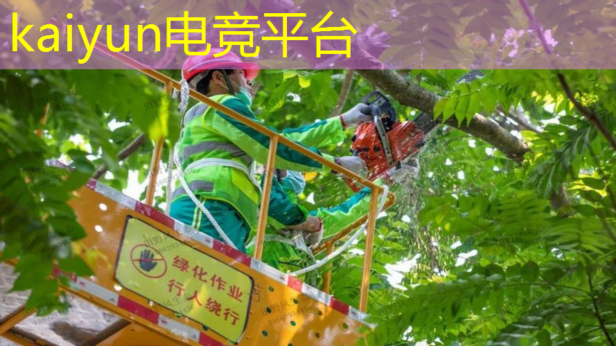 日本电影赌命游戏3D