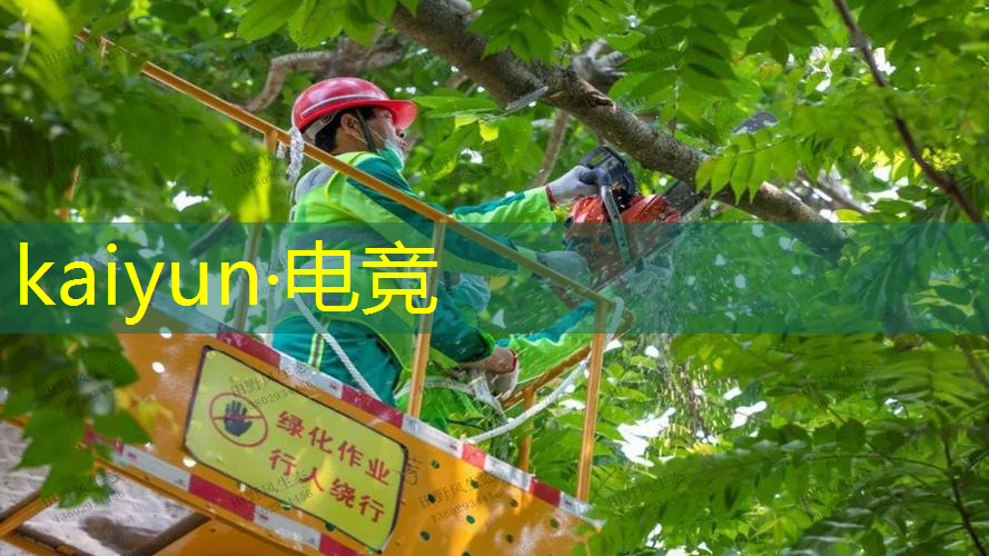 宝宝益智游戏 小程序大全