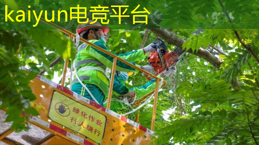 已经停服的3d网络游戏