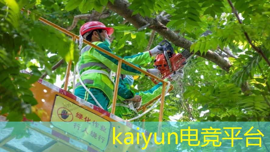 原画头像游戏角色名字怎么改